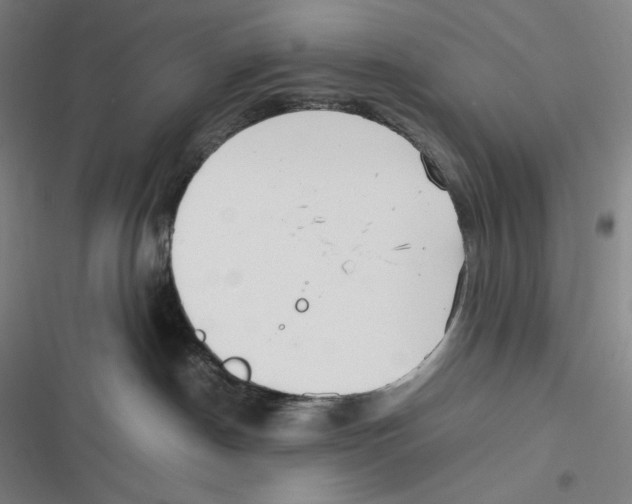 X0000116840190201001081506