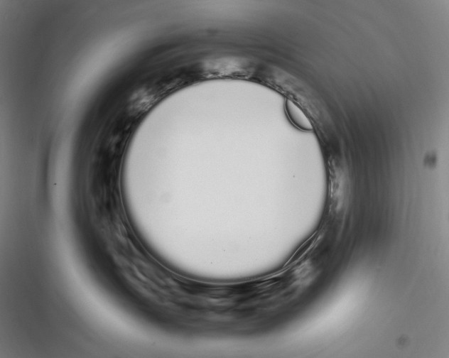 X0000116840191201001081506