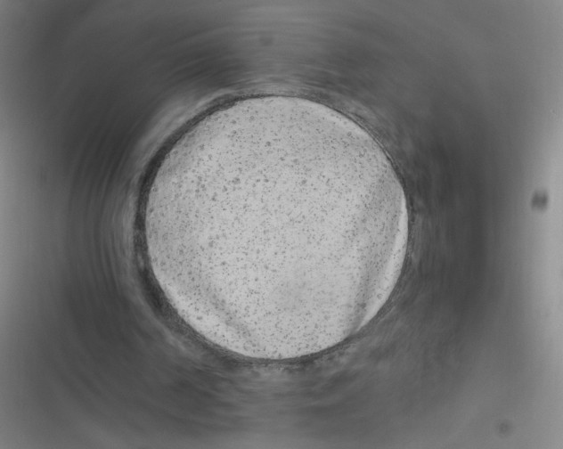 X0000116840194201001081506