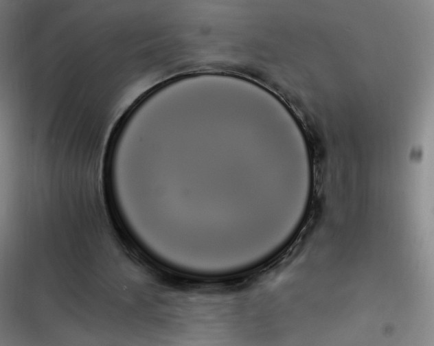 X0000116840196201001081506