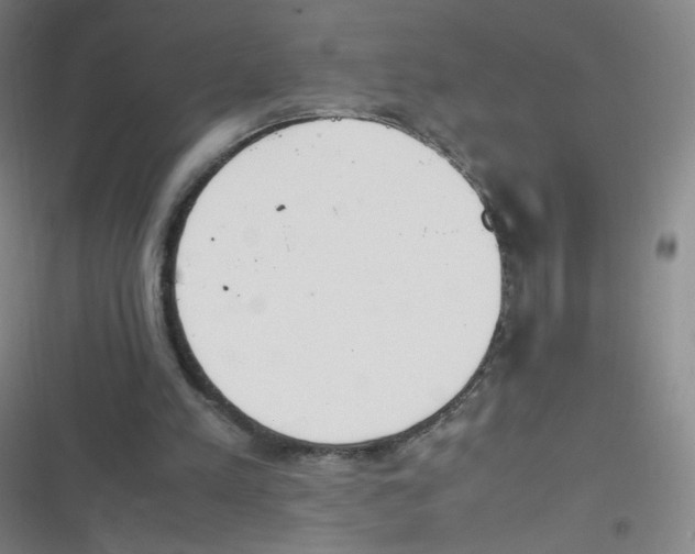 X0000116840197201001081506