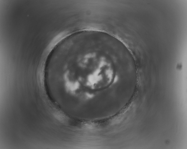 X0000116840199201001081505