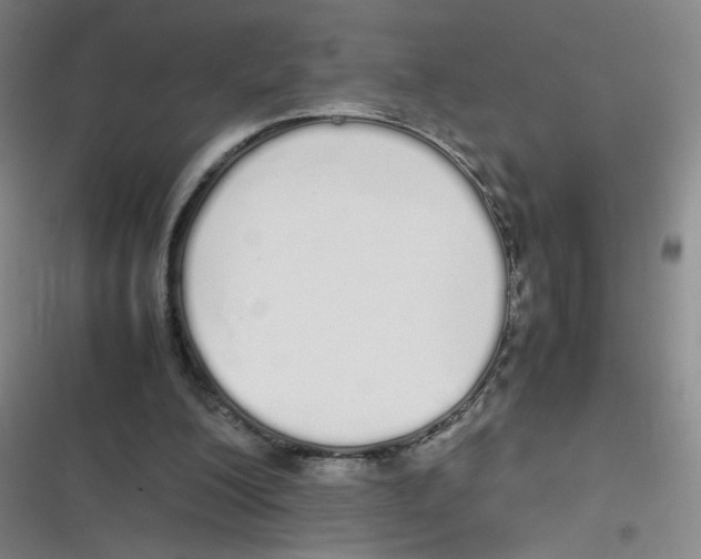 X0000116840200201001081505