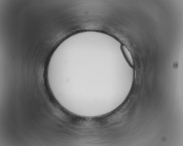 X0000116840201201001081505