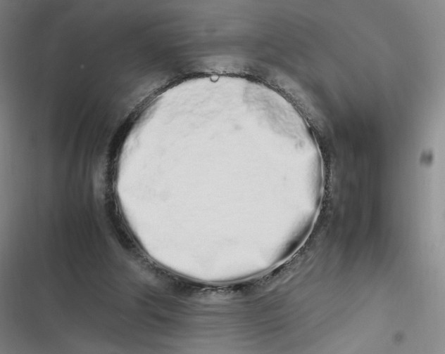 X0000116840202201001081505