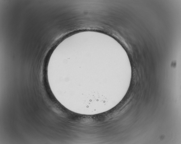 X0000116840203201001081505