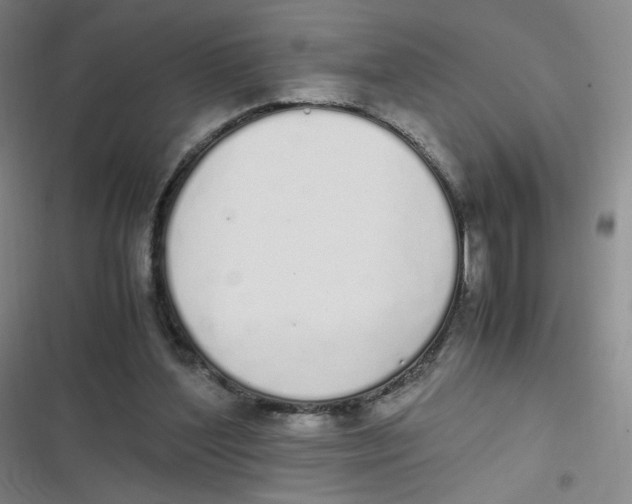 X0000116840204201001081505