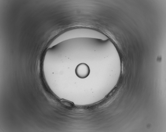 X0000116840205201001081505