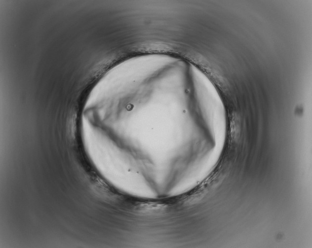 X0000116840206201001081505