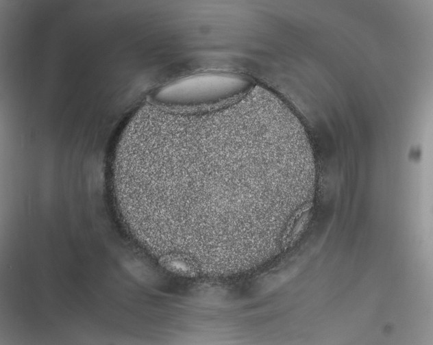 X0000116840207201001081505