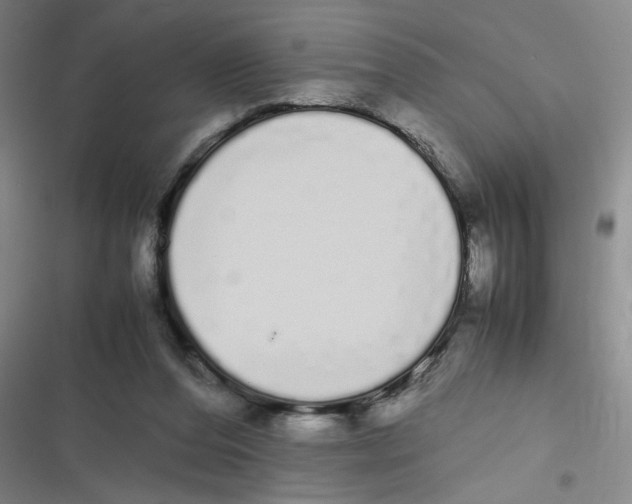 X0000116840208201001081505