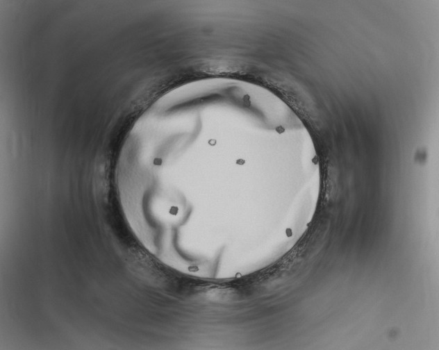 X0000116840210201001081505