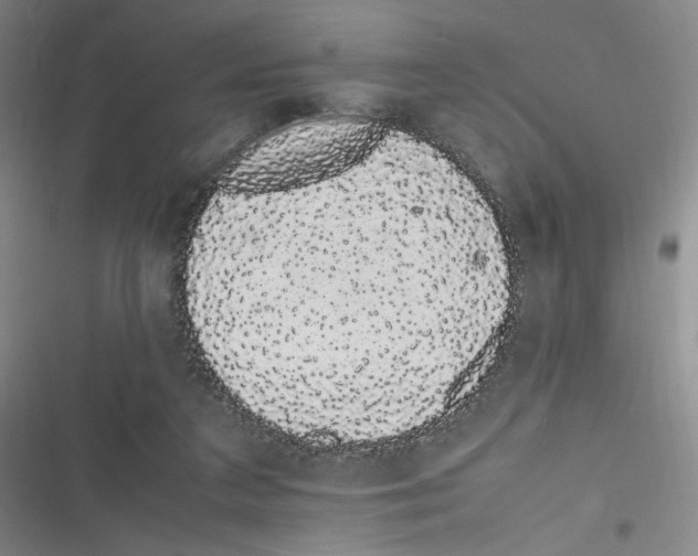 X0000116840211201001081505