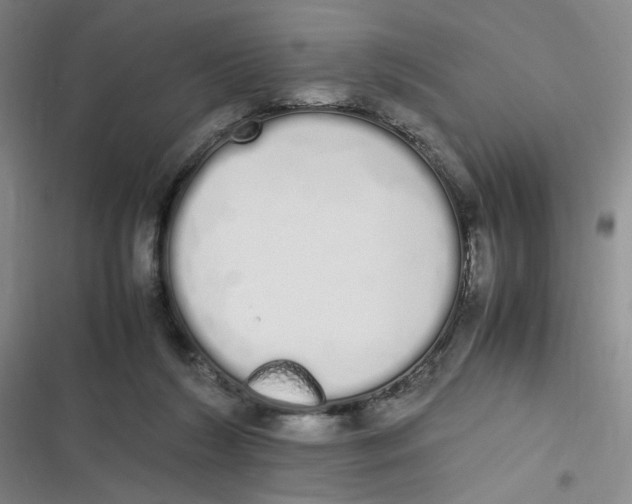 X0000116840212201001081505