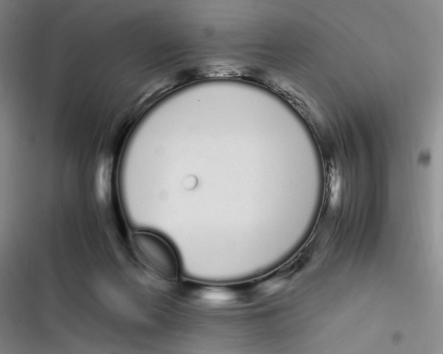 X0000116840214201001081505