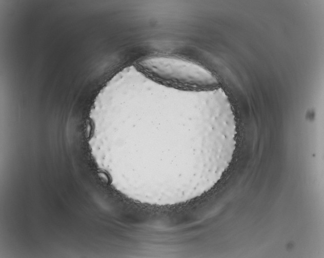 X0000116840215201001081505