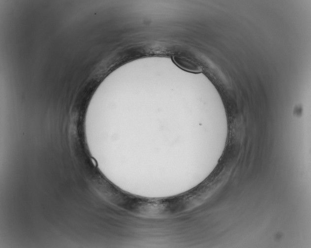 X0000116840217201001081505