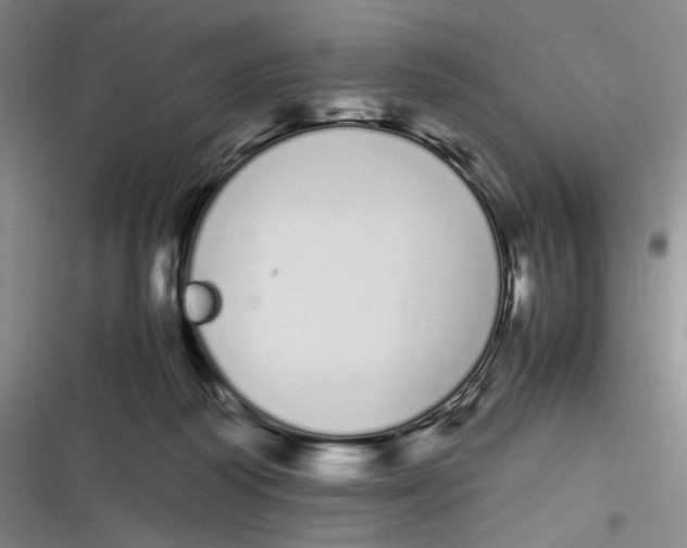 X0000116840218201001081505