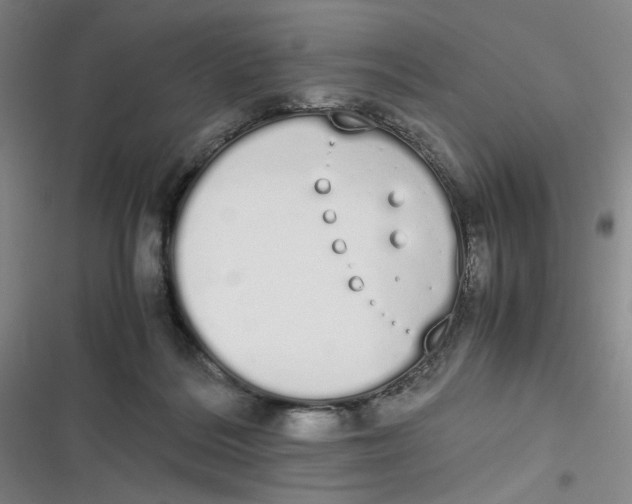 X0000116840220201001081505