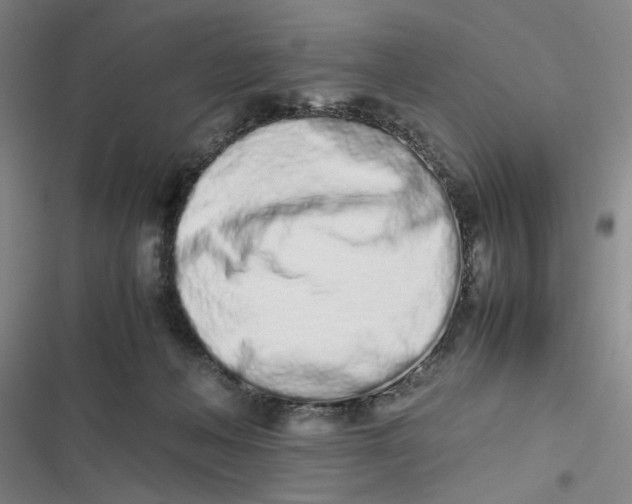 X0000116840222201001081505