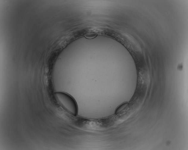 X0000116840223201001081505