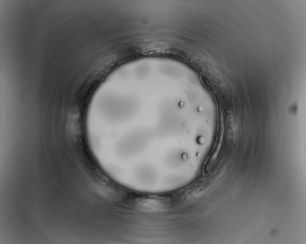 X0000116840224201001081505