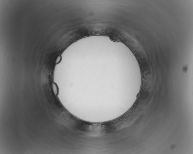 X0000116840225201001081505