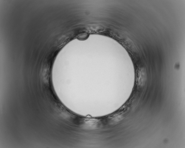 X0000116840226201001081505