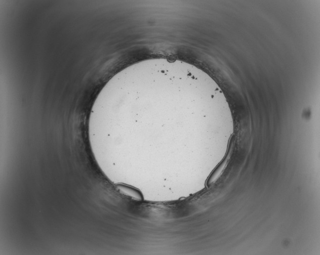 X0000116840229201001081505