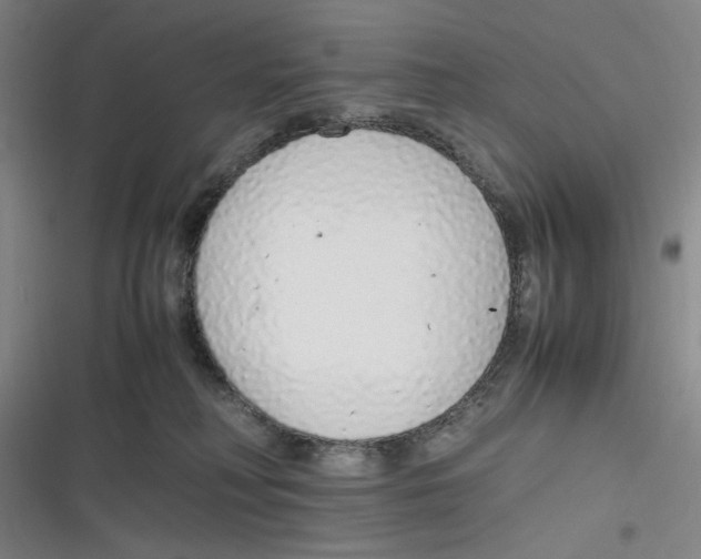 X0000116840230201001081505