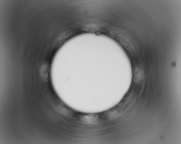 X0000116840232201001081505