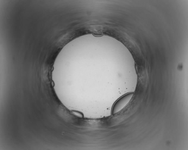 X0000116840233201001081505