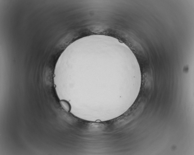 X0000116840234201001081505