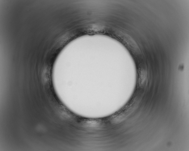 X0000116840236201001081505