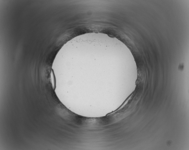 X0000116840237201001081505