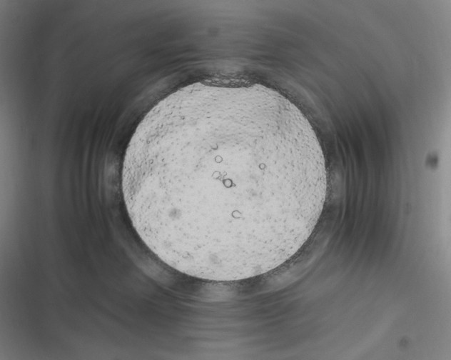 X0000116840238201001081505