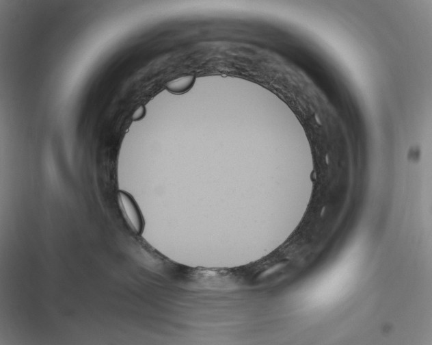 X0000116840239201001081505