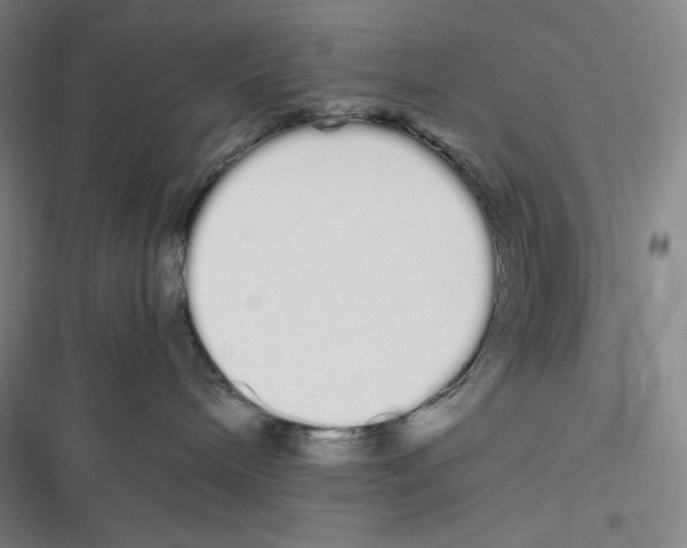 X0000116840240201001081505