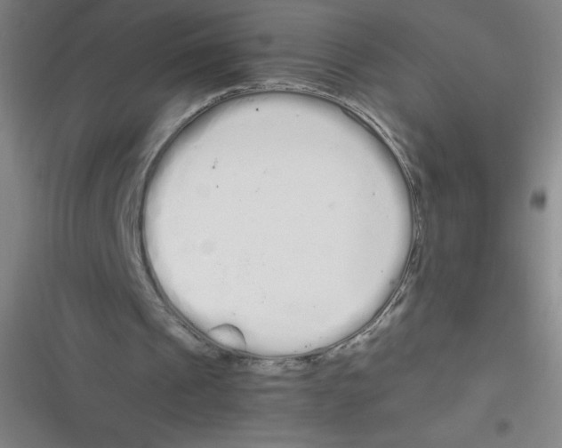 X0000116840241201001081504