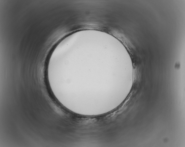 X0000116840243201001081504