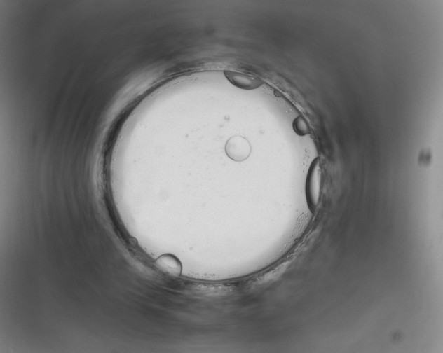 X0000116840245201001081504