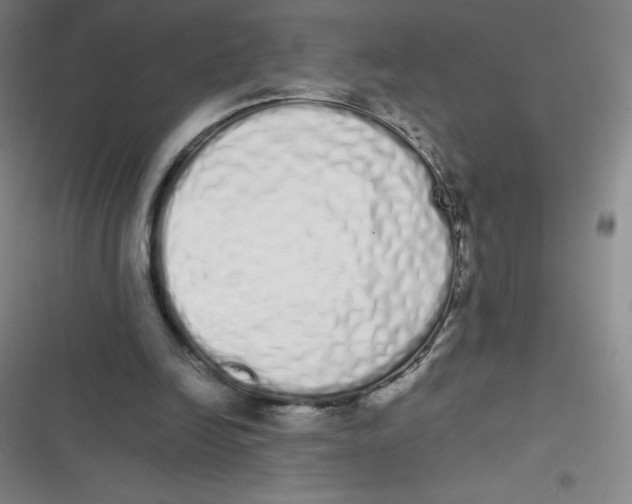 X0000116840246201001081504