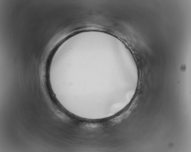 X0000116840247201001081504