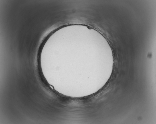 X0000116840248201001081504