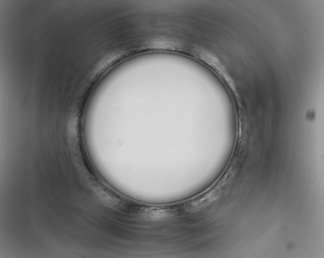 X0000116840249201001081504