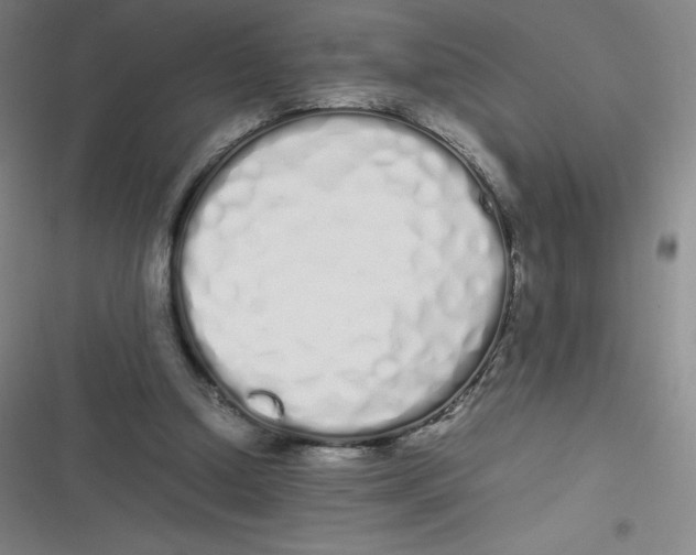 X0000116840250201001081504