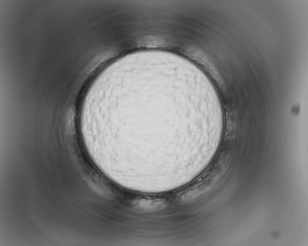 X0000116840251201001081504