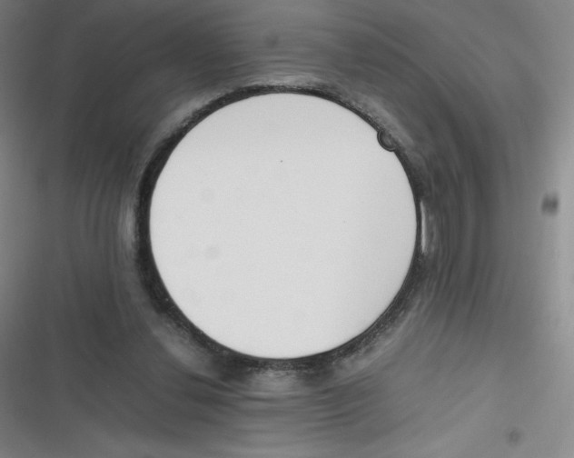 X0000116840252201001081504