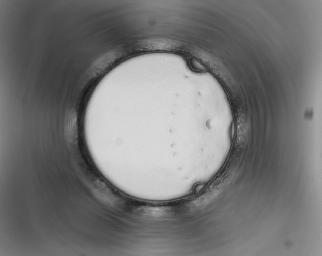 X0000116840254201001081504