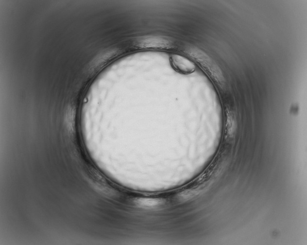 X0000116840255201001081504